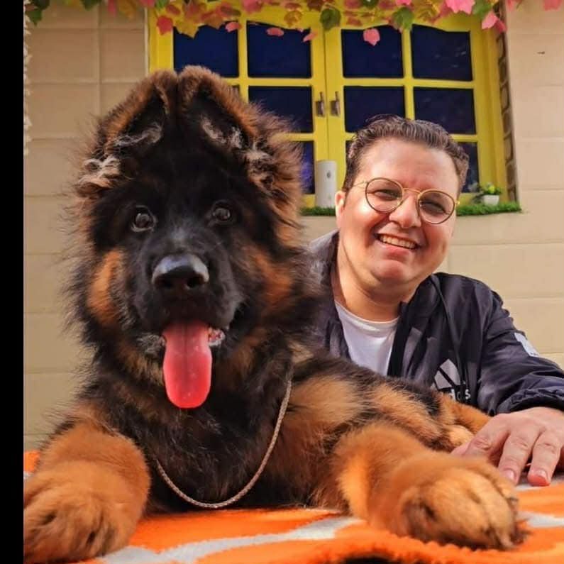 التزام بالشفافية… كل كلب مع ملف كامل يضمن راحة المشتري